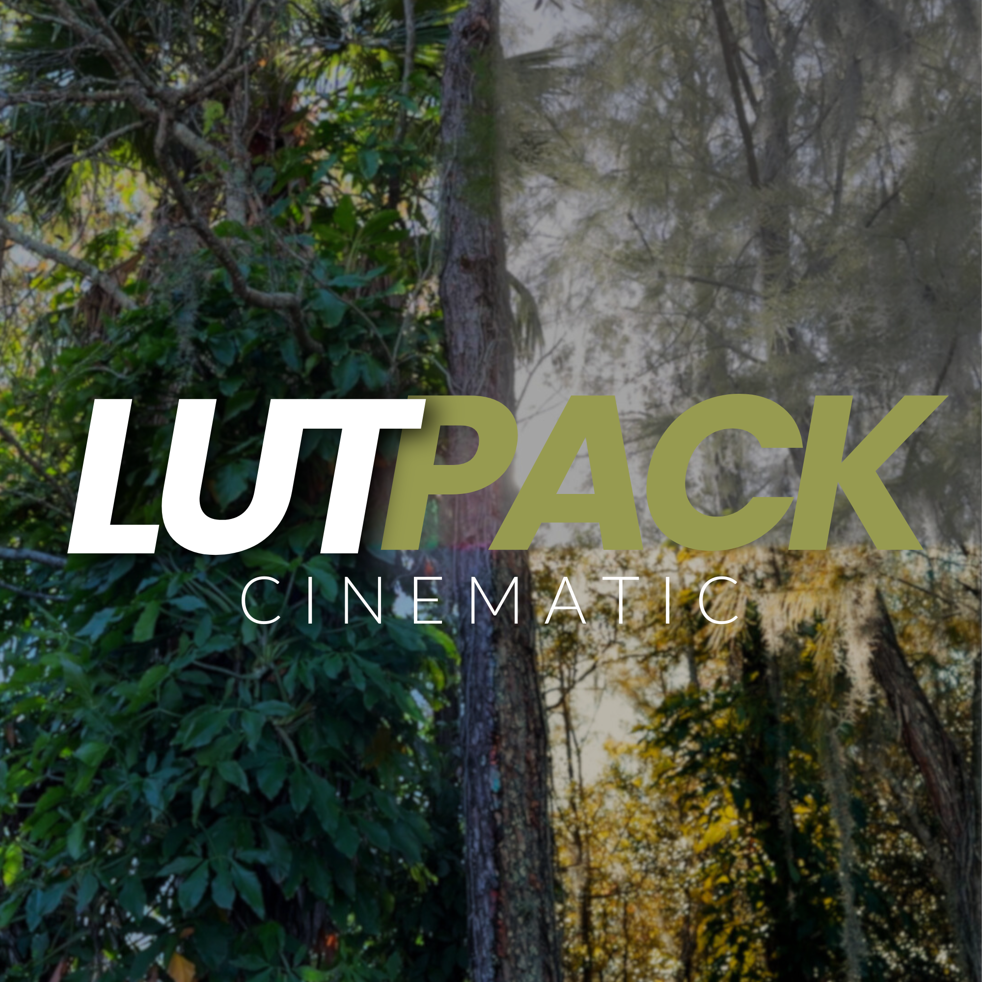 LUT PACK